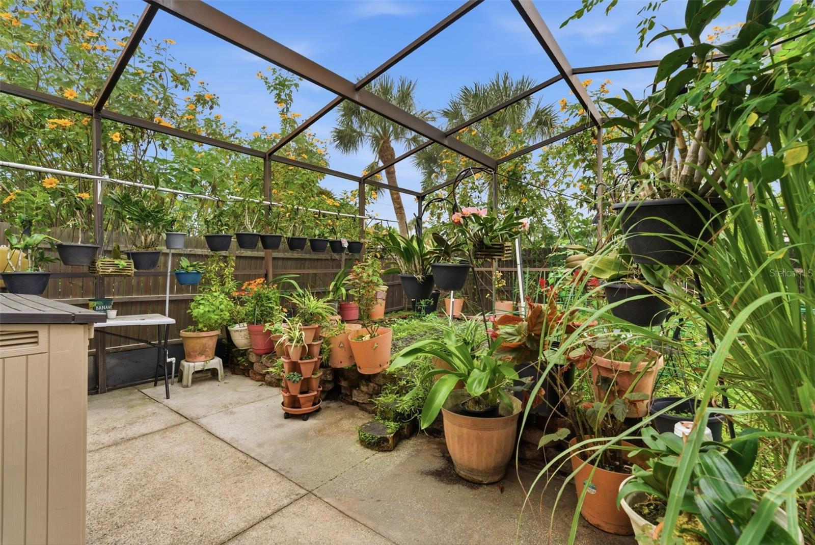 Image 29 of 47 For 857 Palmetto Street