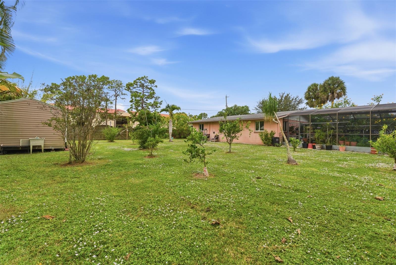 Image 30 of 47 For 857 Palmetto Street