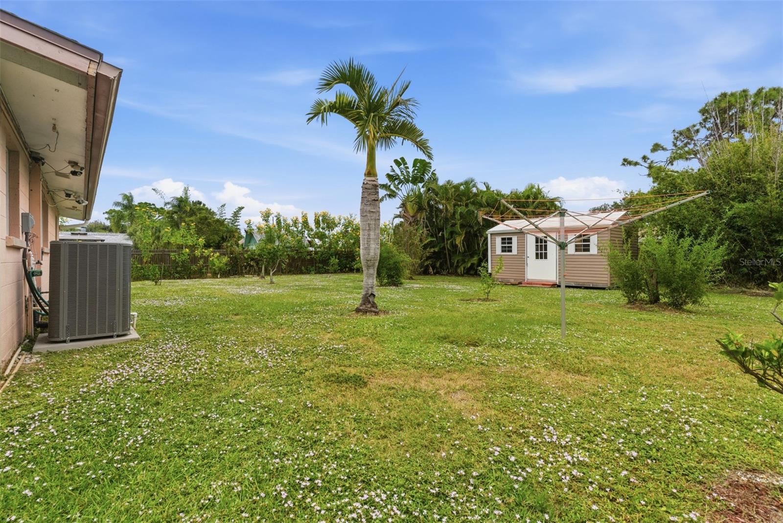 Image 34 of 47 For 857 Palmetto Street