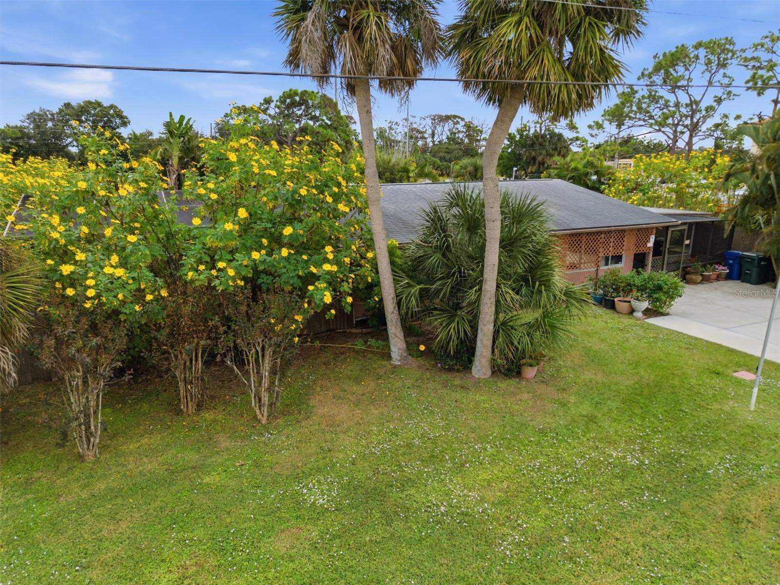 Image 38 of 47 For 857 Palmetto Street