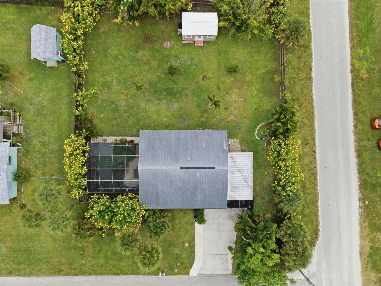 Image 44 of 47 For 857 Palmetto Street