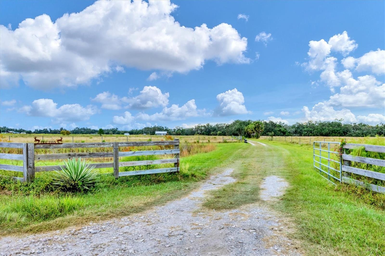 Image 11 of 34 For 16406 Coker Gully Road