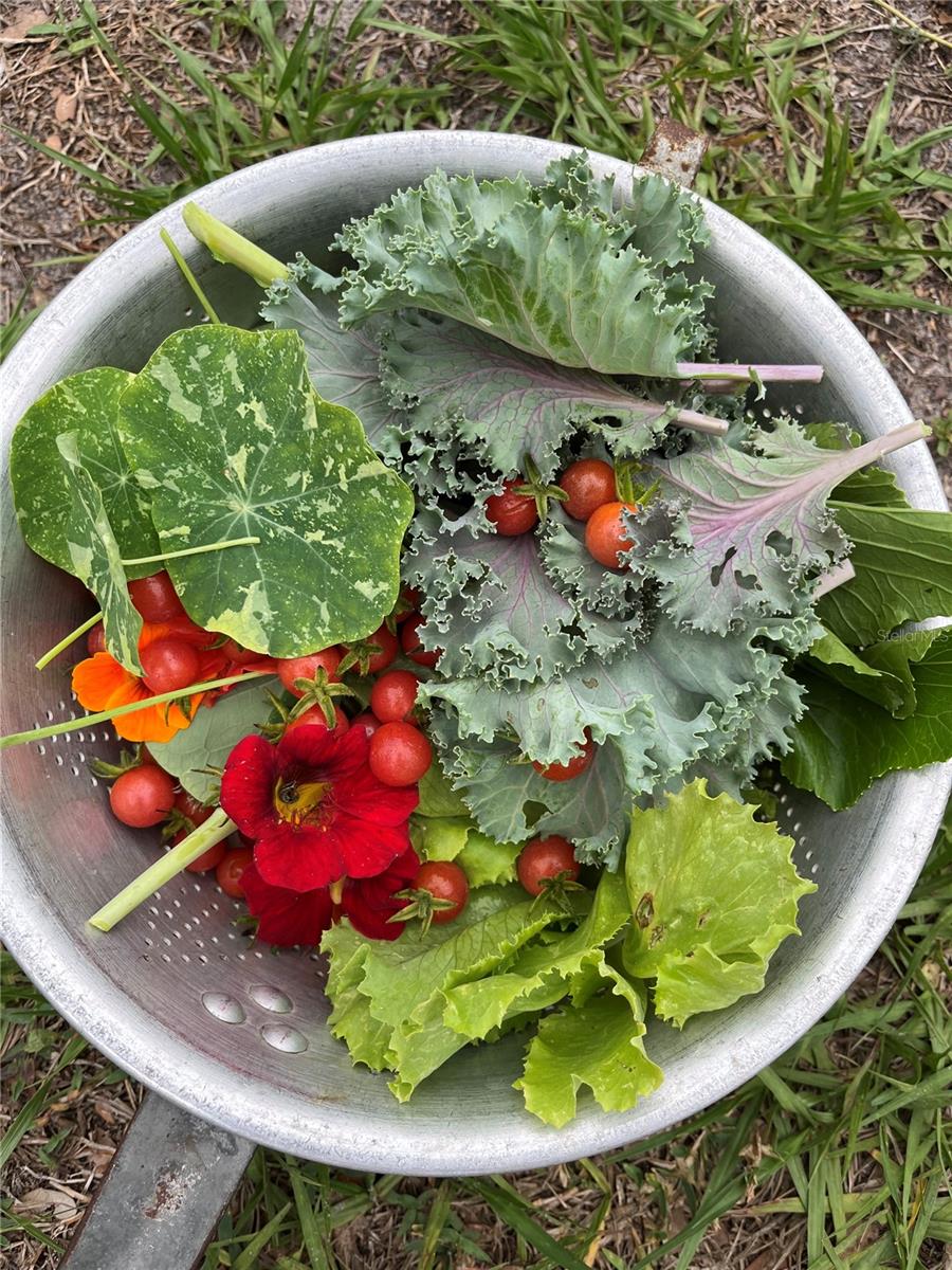 Image 39 of 60 For 6570 Old Ranch Road