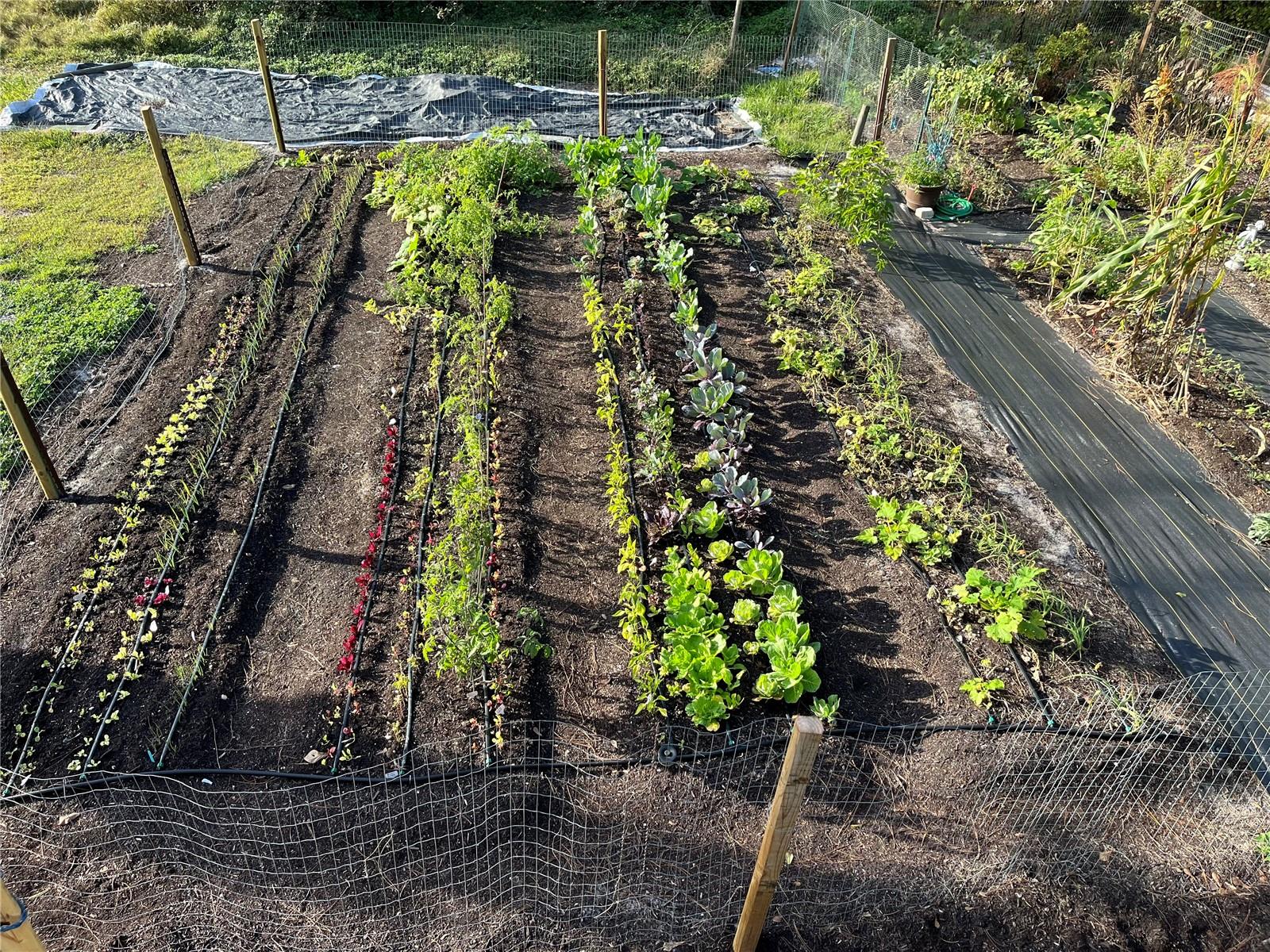 Image 44 of 60 For 6570 Old Ranch Road