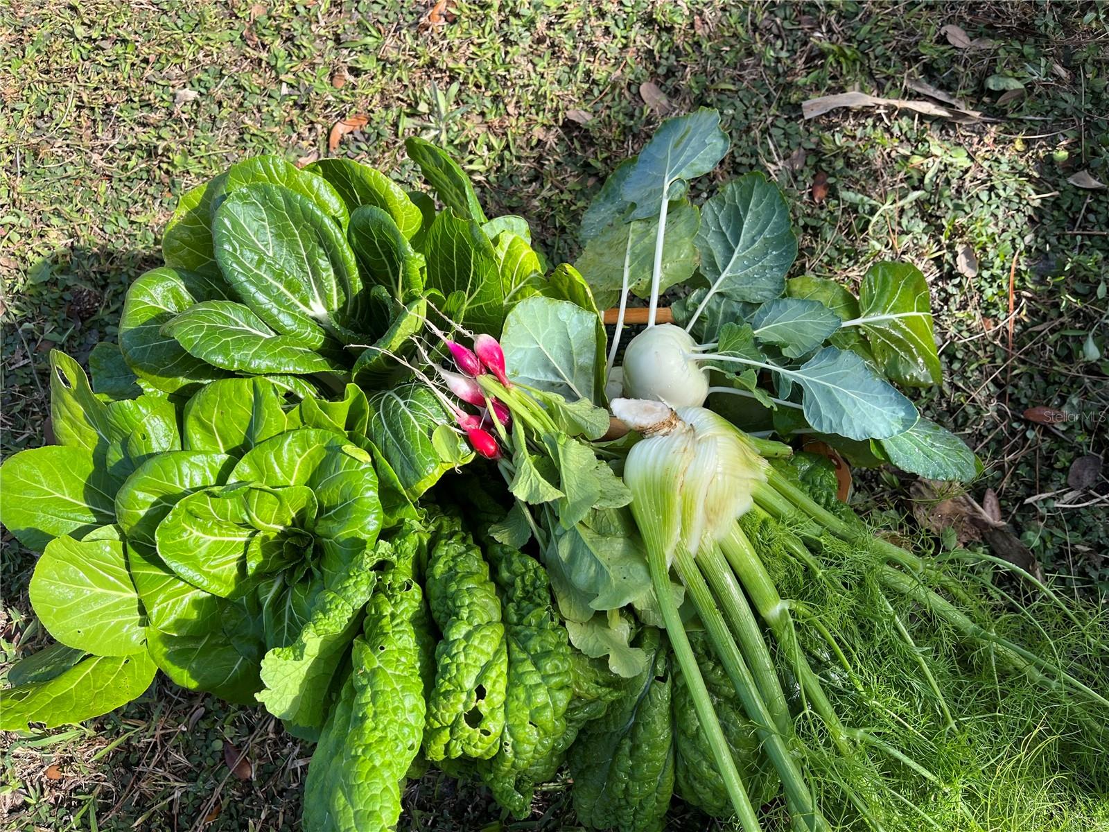 Image 45 of 60 For 6570 Old Ranch Road