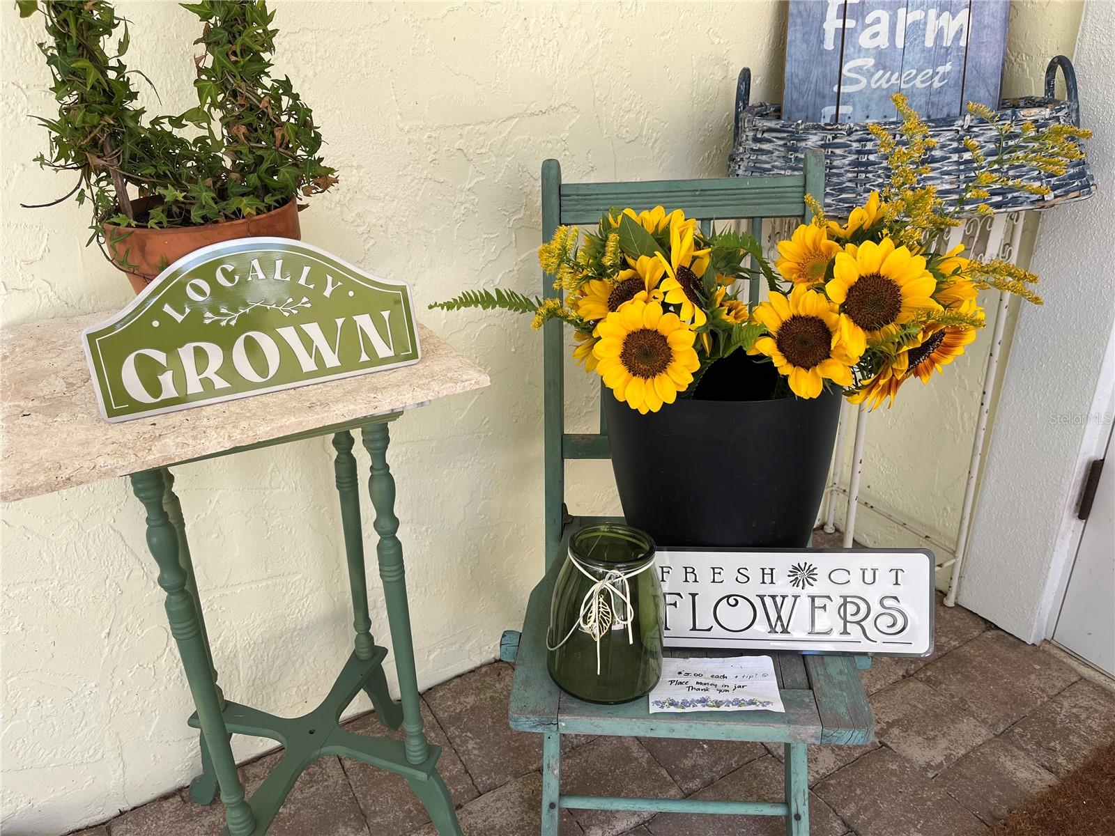 Image 50 of 60 For 6570 Old Ranch Road