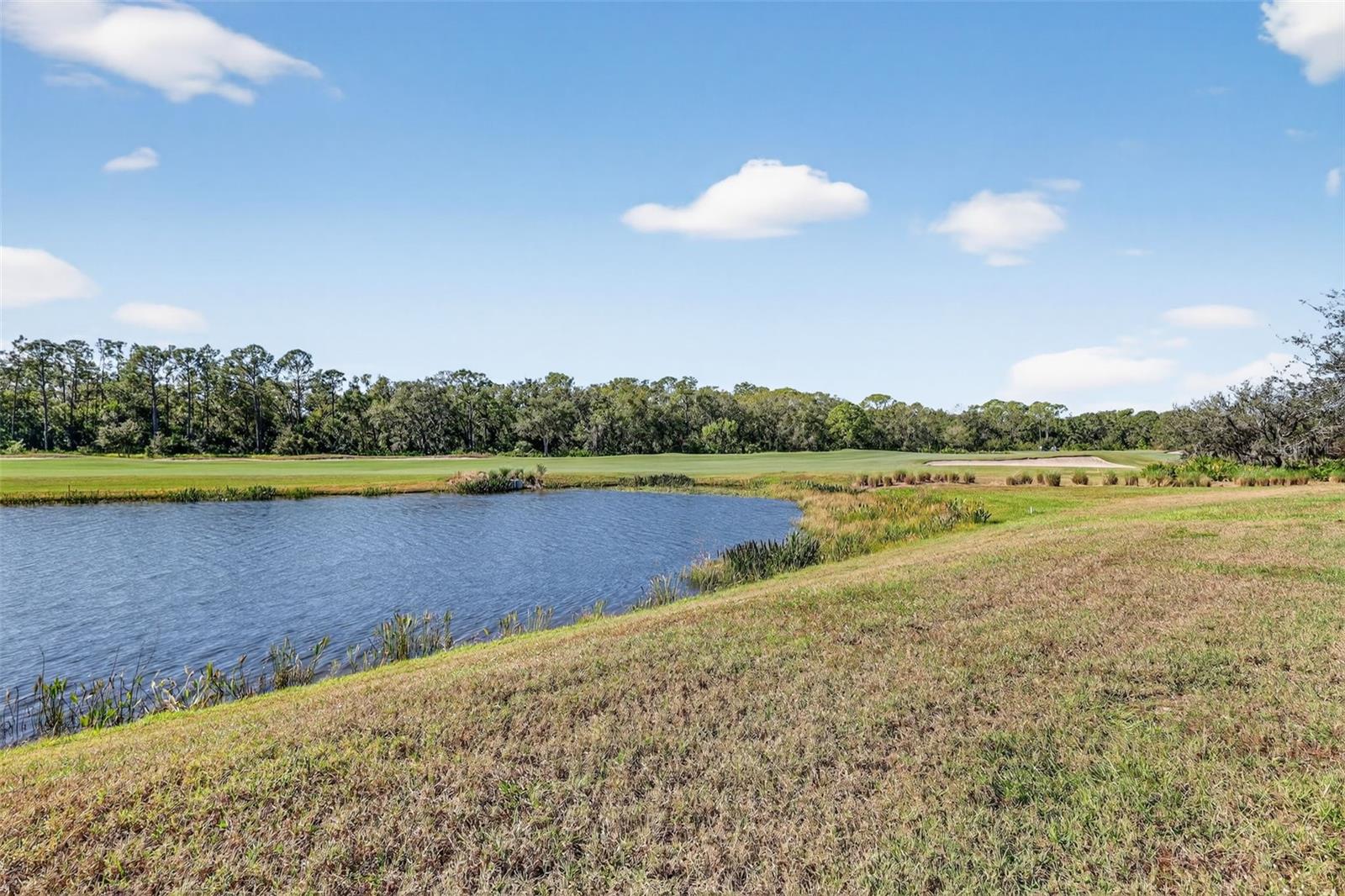 Image 5 of 48 For 17520 Gawthrop Drive 405