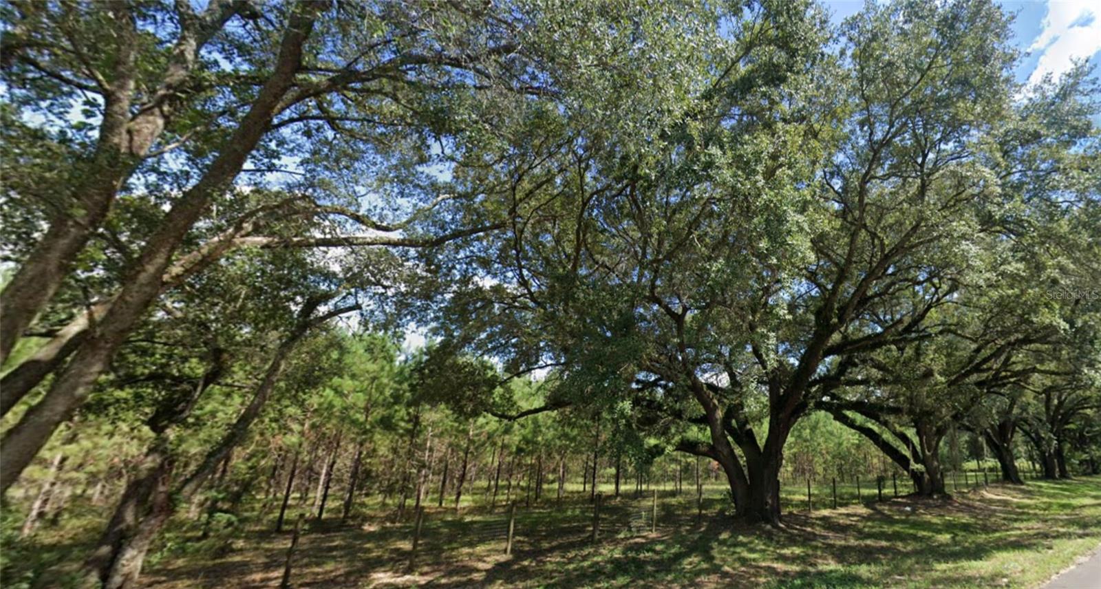 Listing photo id 12 for 5757 Highway 71