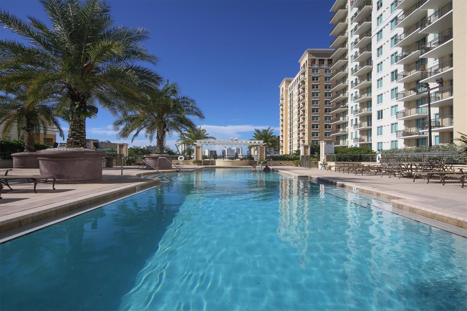 Image 34 of 57 For 800 Tamiami Trail 808