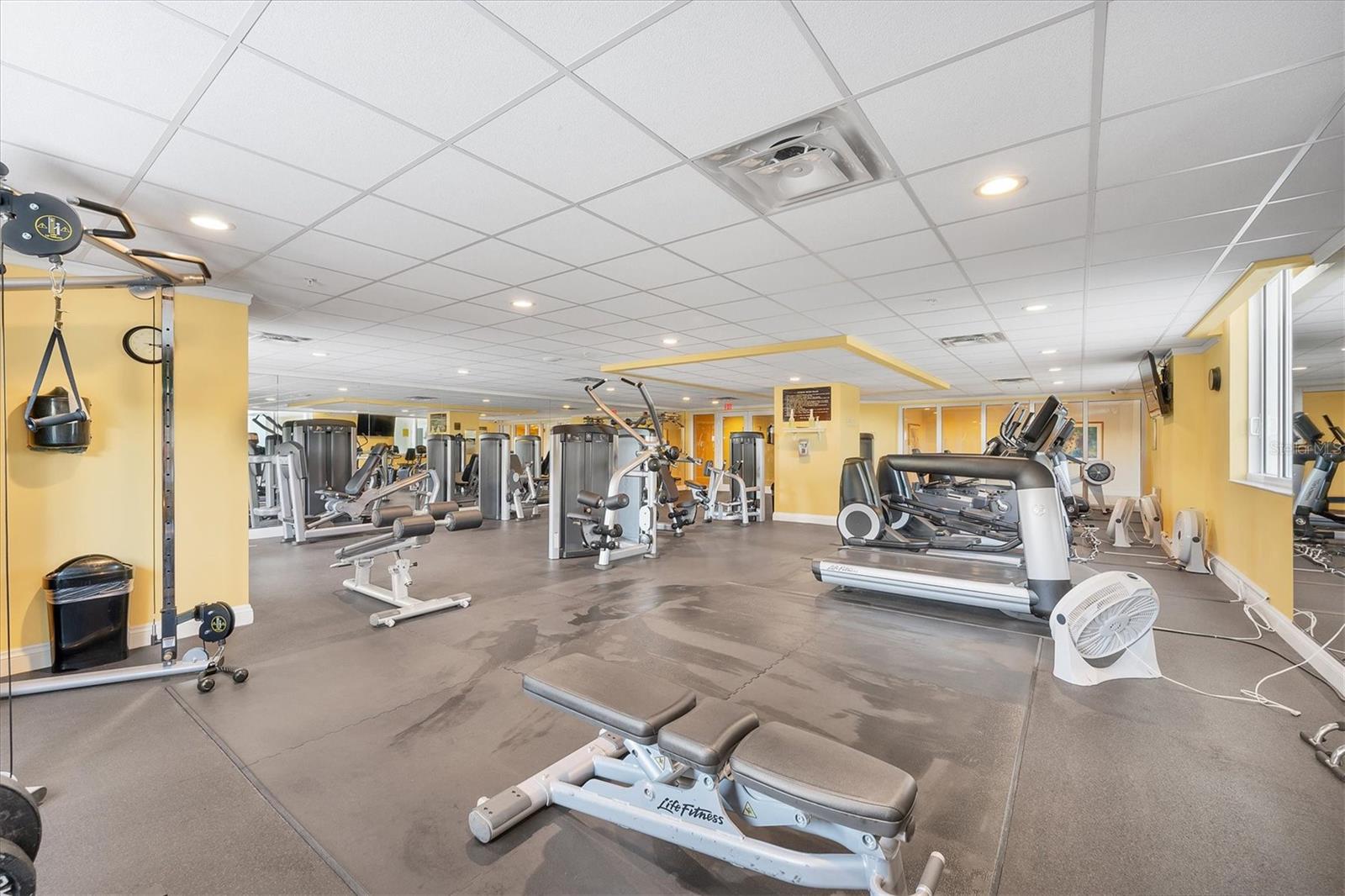 Image 39 of 57 For 800 Tamiami Trail 808