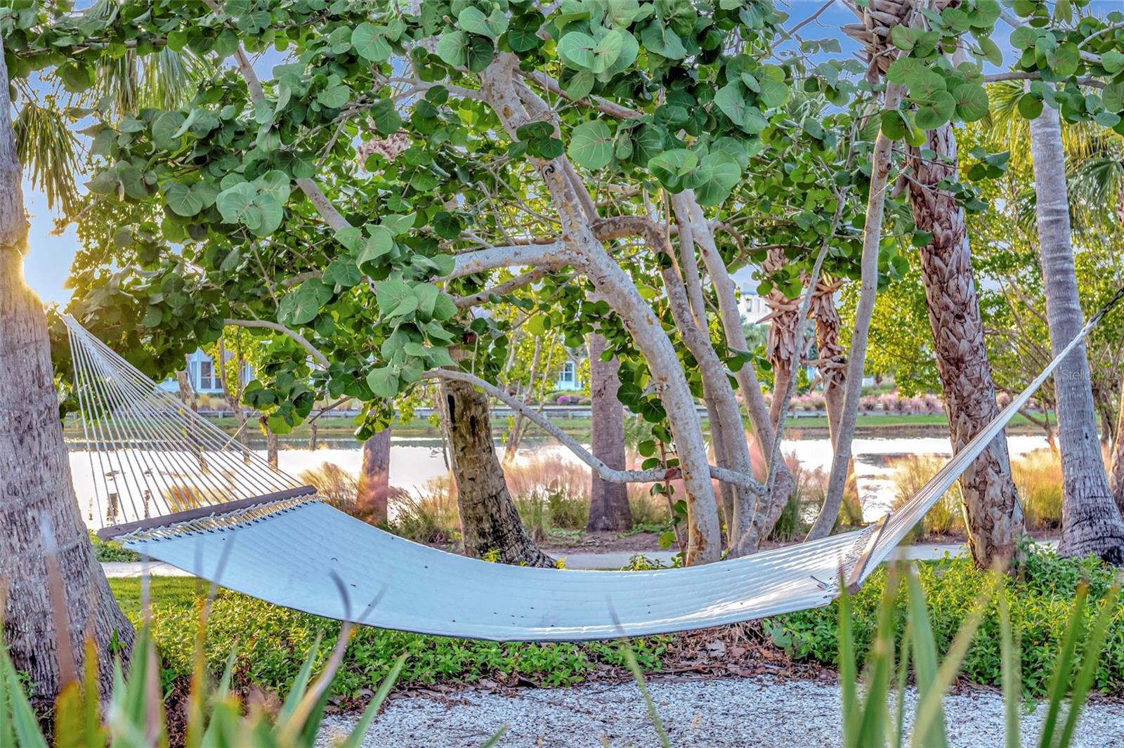 Image 81 of 95 For 246 Sapphire Lake Drive 201