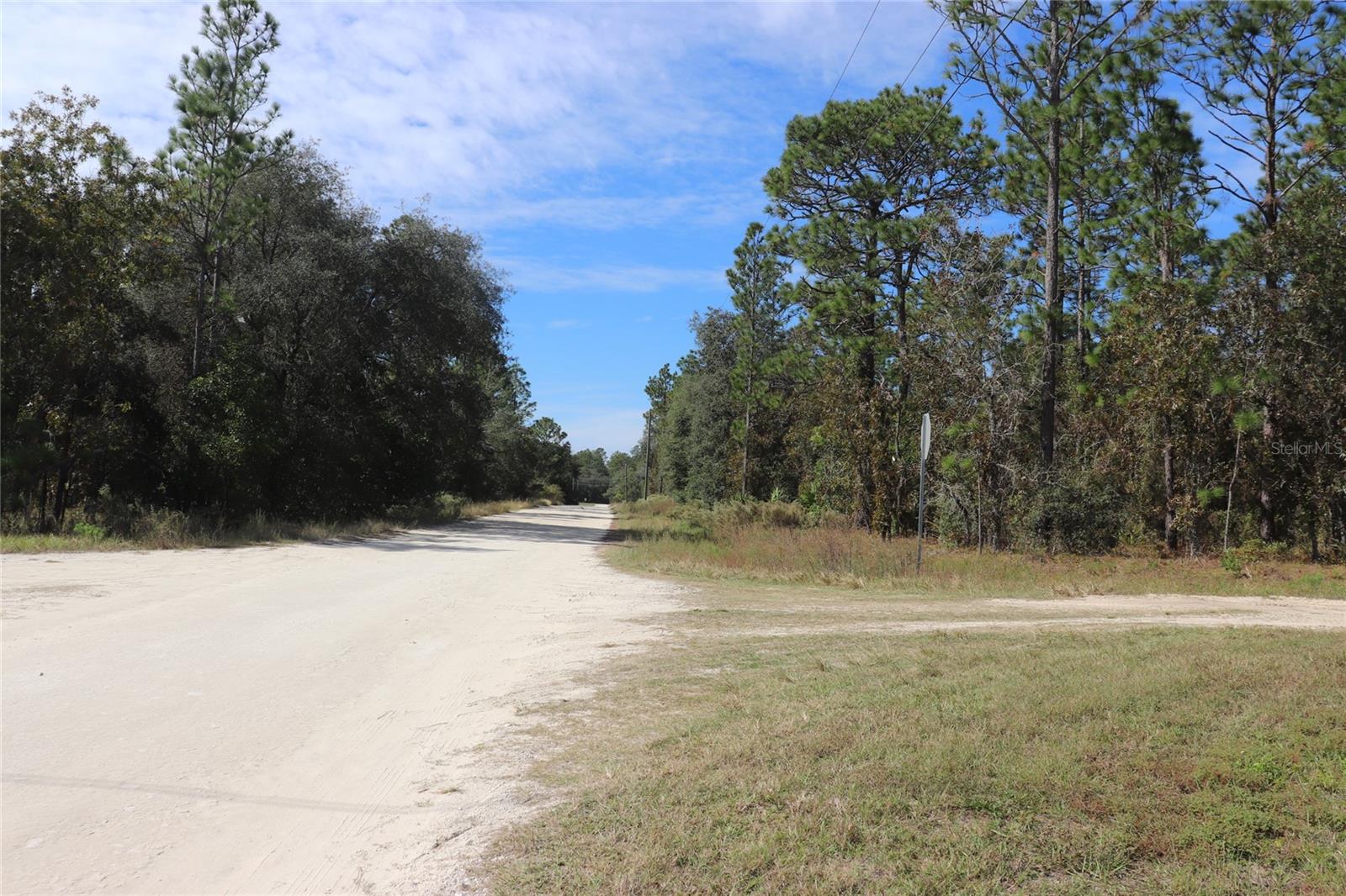 Image 10 of 17 For Tbd 81st Street