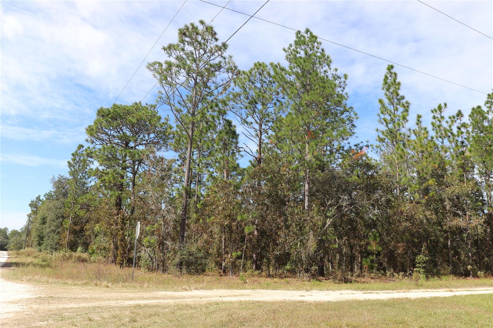 Image 11 of 17 For Tbd 81st Street