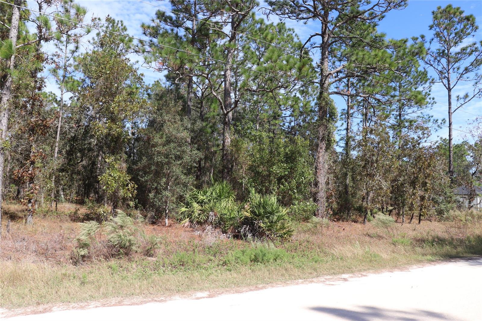 Image 12 of 17 For Tbd 81st Street