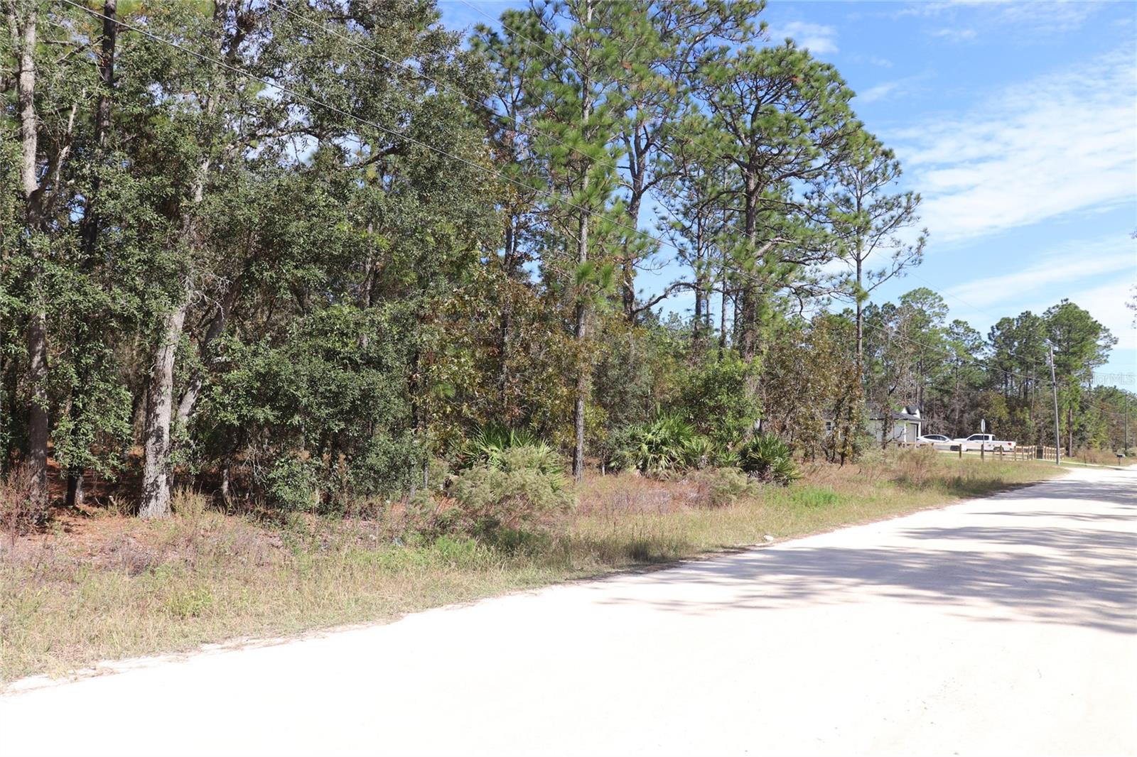 Image 15 of 17 For Tbd 81st Street