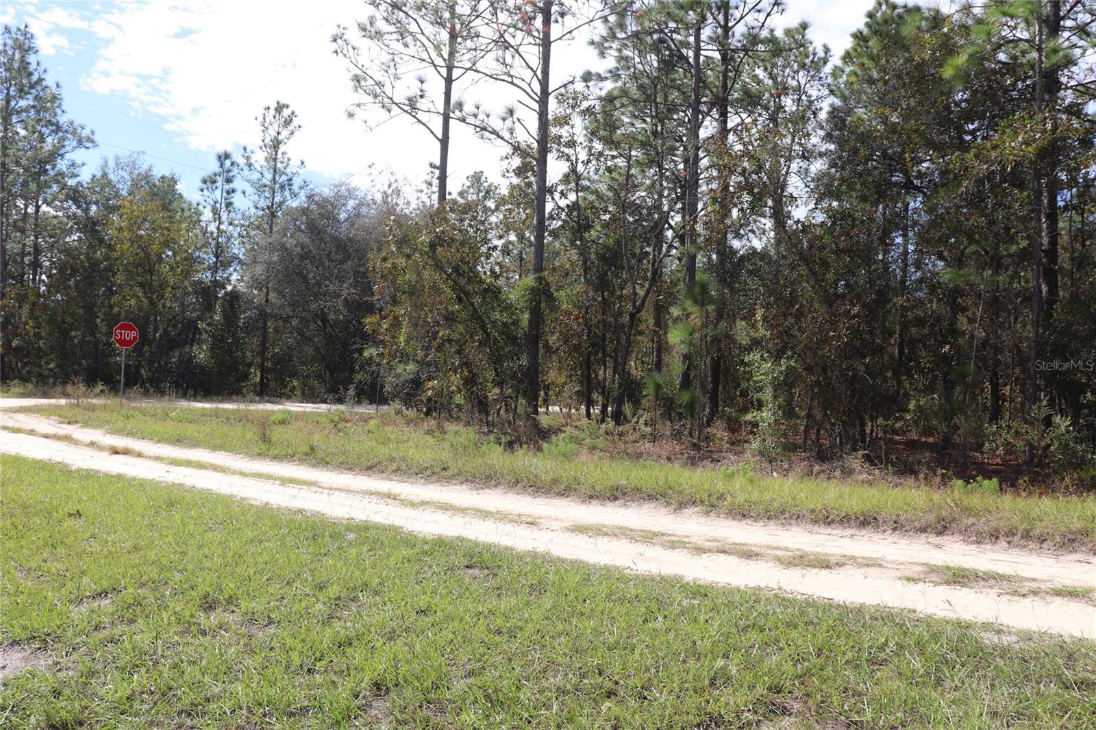 Image 5 of 17 For Tbd 81st Street