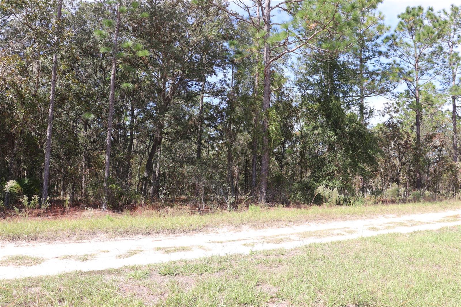 Image 6 of 17 For Tbd 81st Street