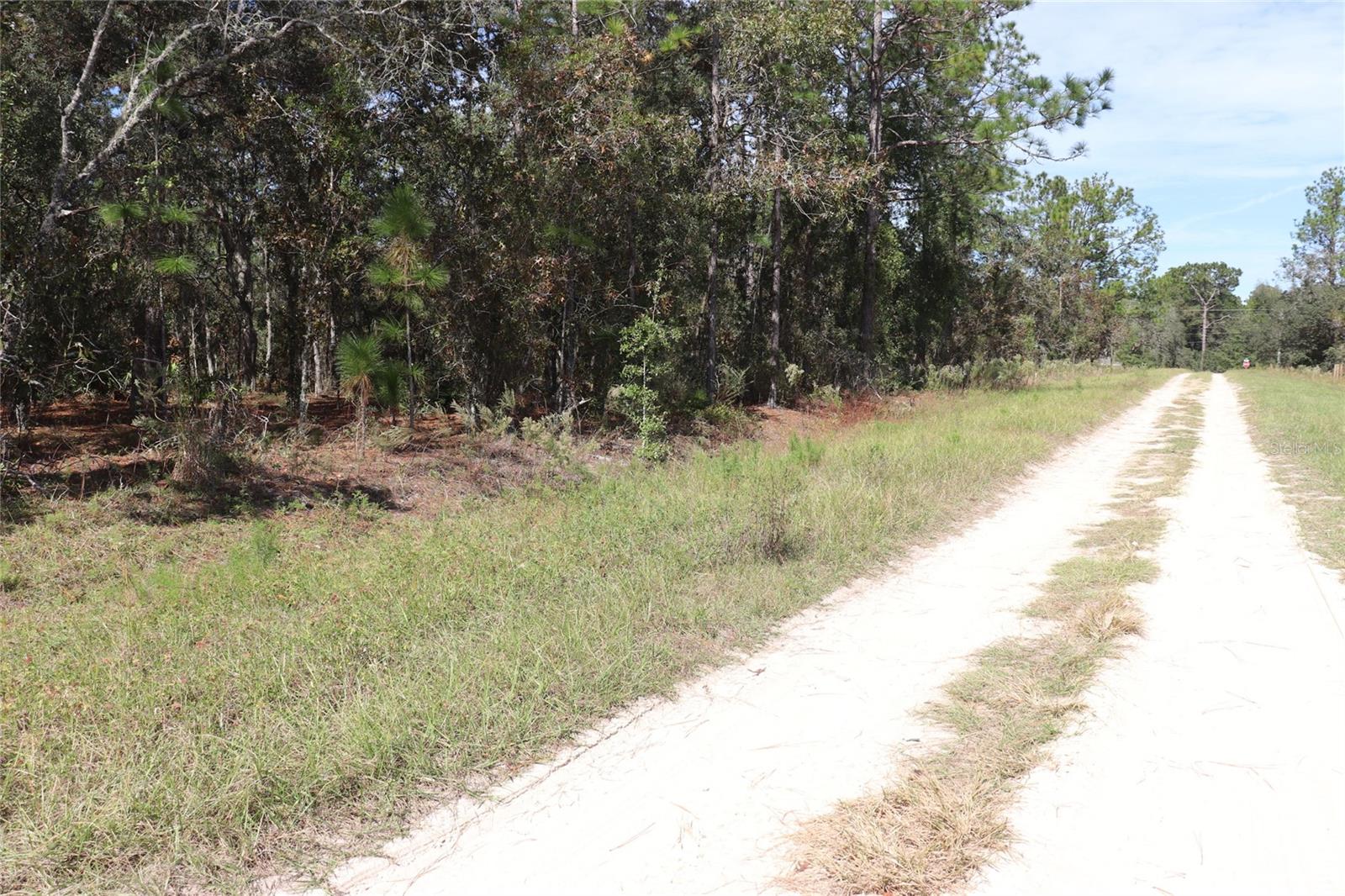 Image 7 of 17 For Tbd 81st Street