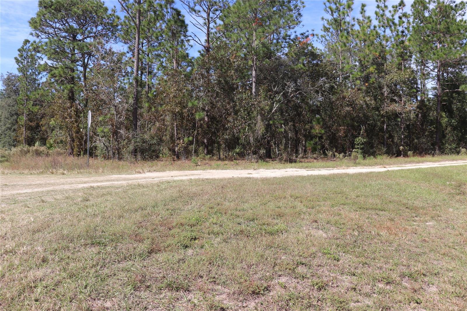 Image 8 of 17 For Tbd 81st Street