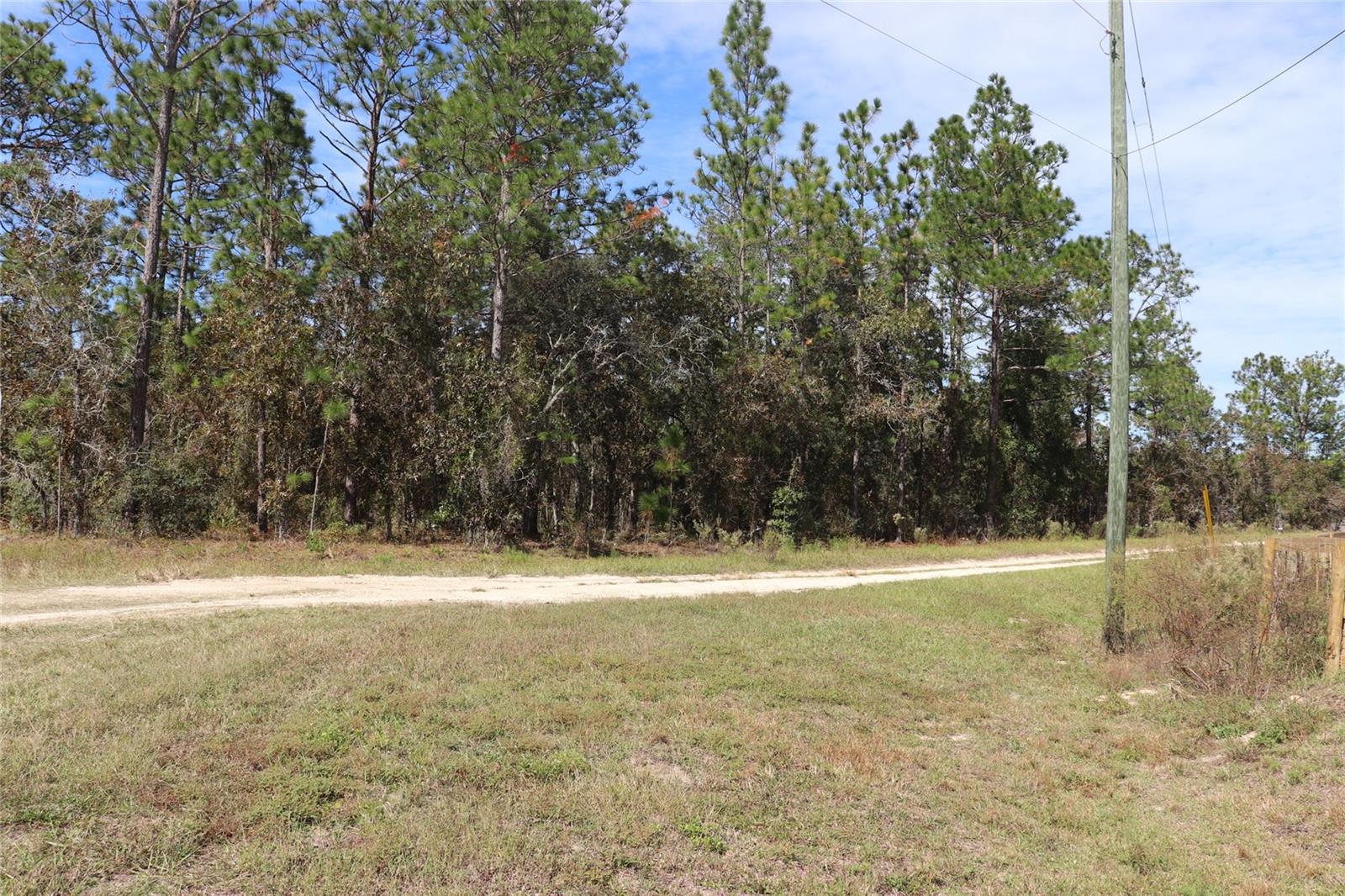 Image 9 of 17 For Tbd 81st Street