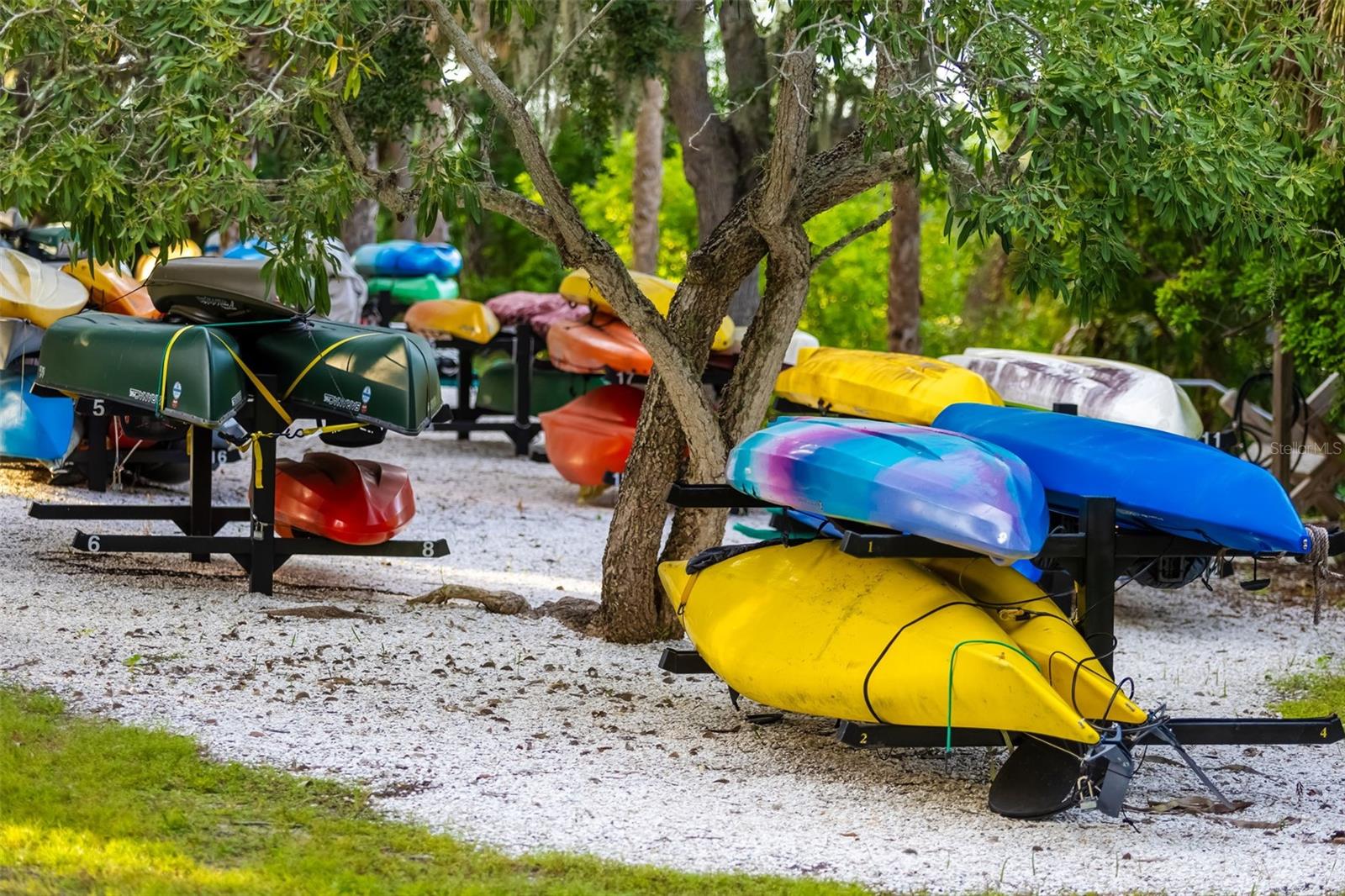 Image 64 of 76 For 9711 Sea Turtle Terrace 102