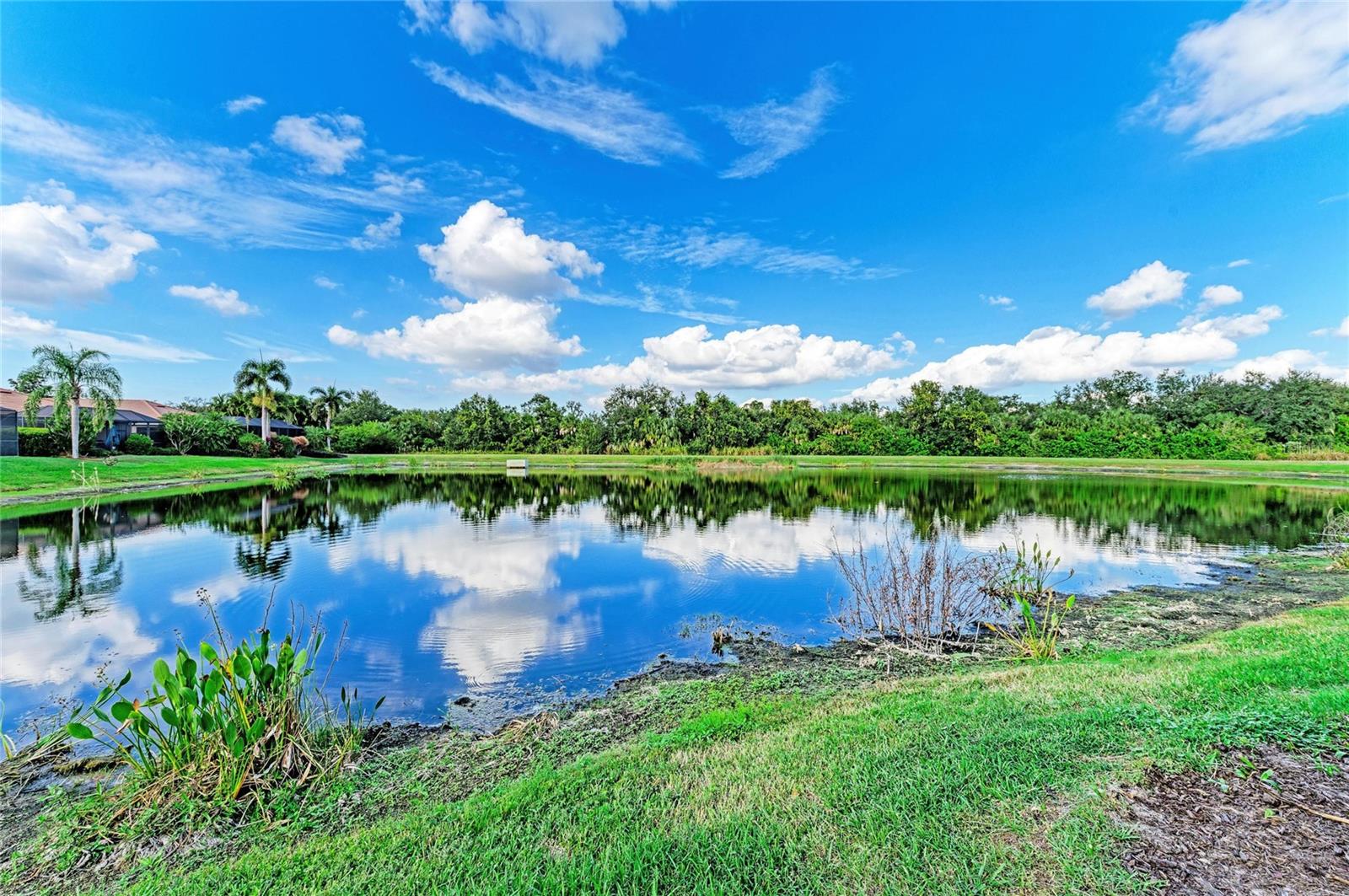 Image 6 of 99 For 9015 Hammock Edge Place