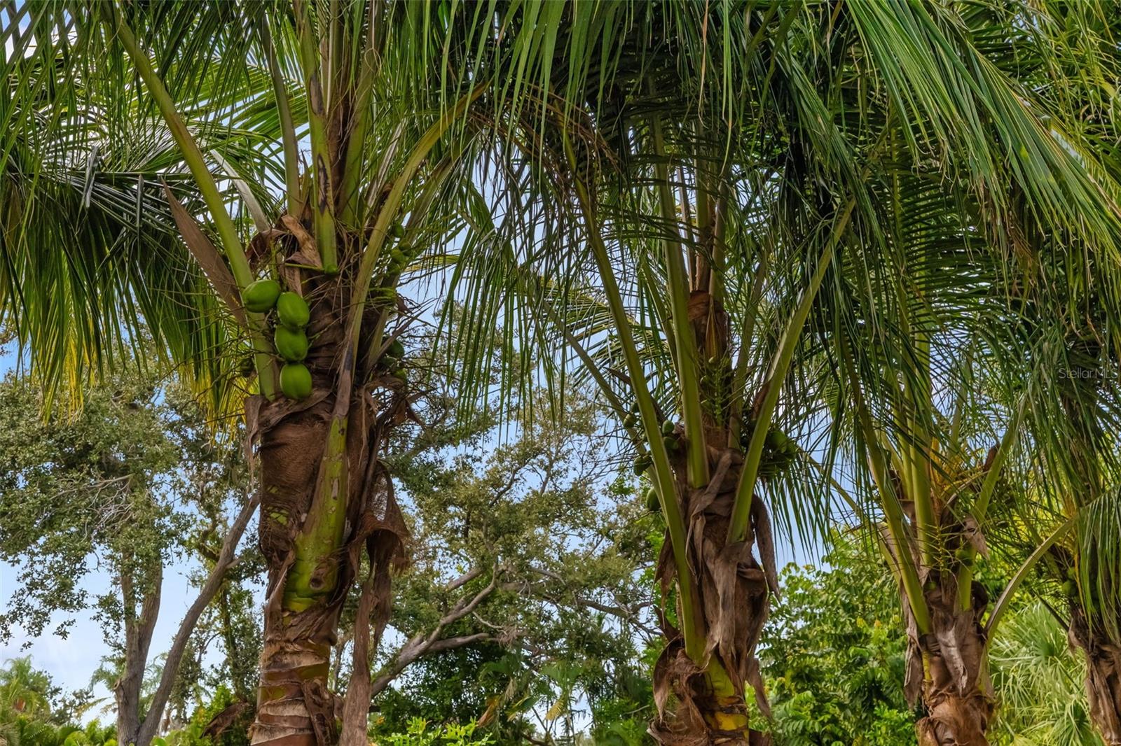 Image 50 of 81 For 1705 Field Road