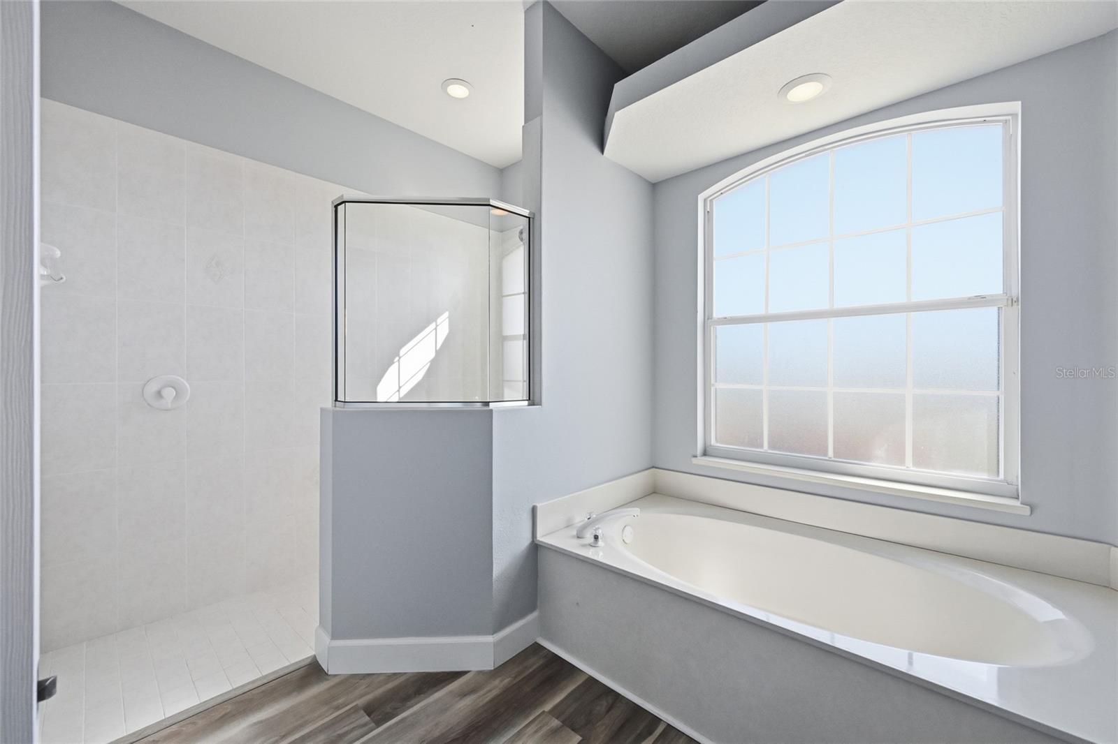 Image 18 of 43 For 574 Planters Manor Way