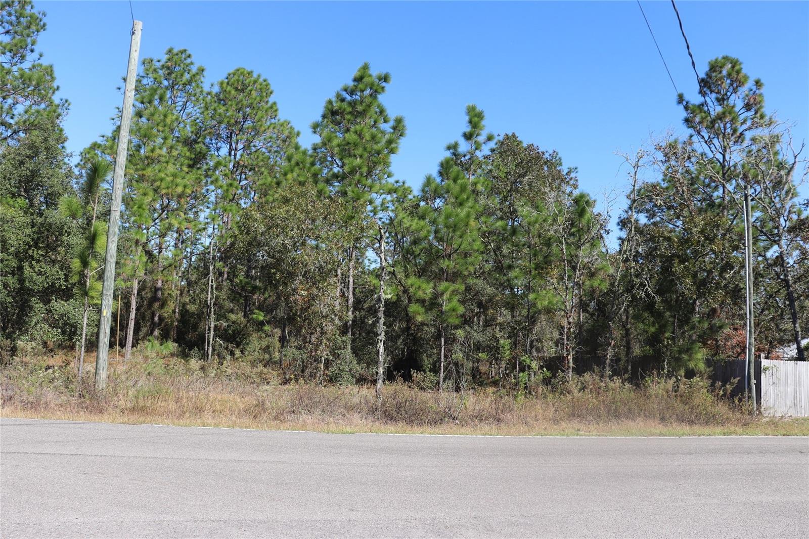 Details for Tbd Indian Hill Drive, DUNNELLON, FL 34431