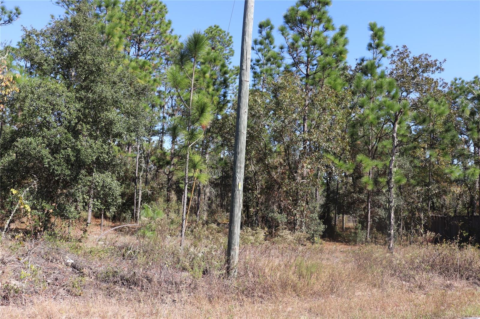 Image 13 of 14 For Tbd Indian Hill Drive