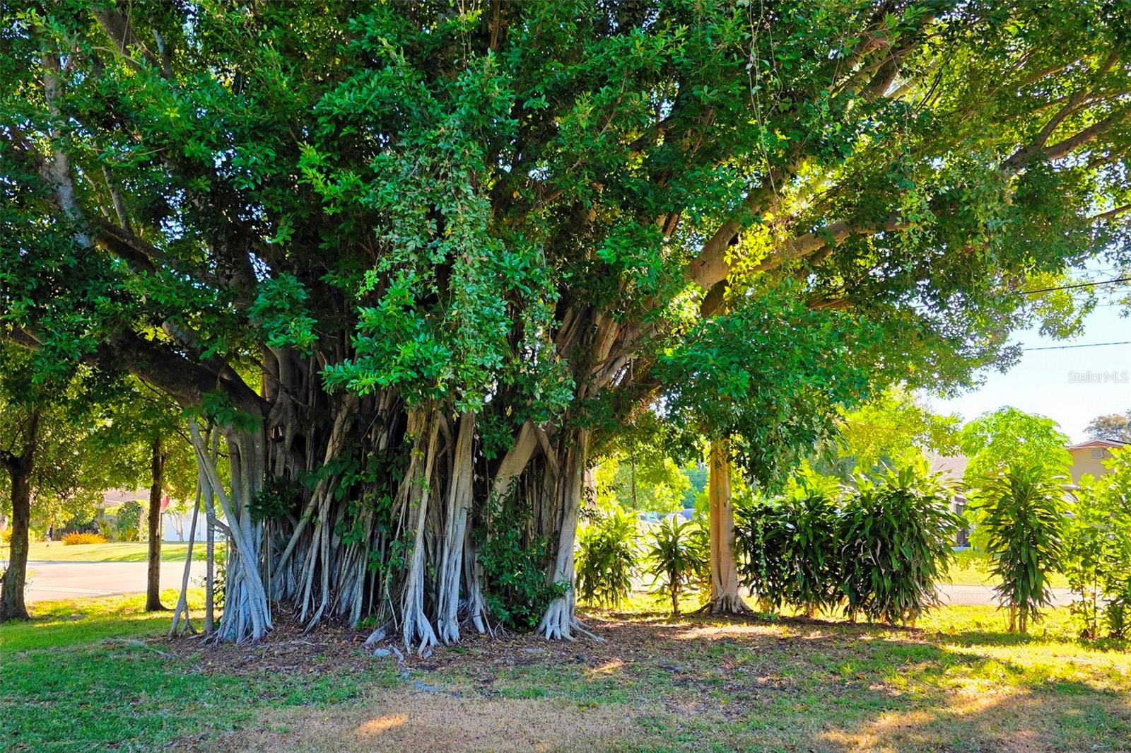 Image 42 of 48 For 3120 Arch Drive