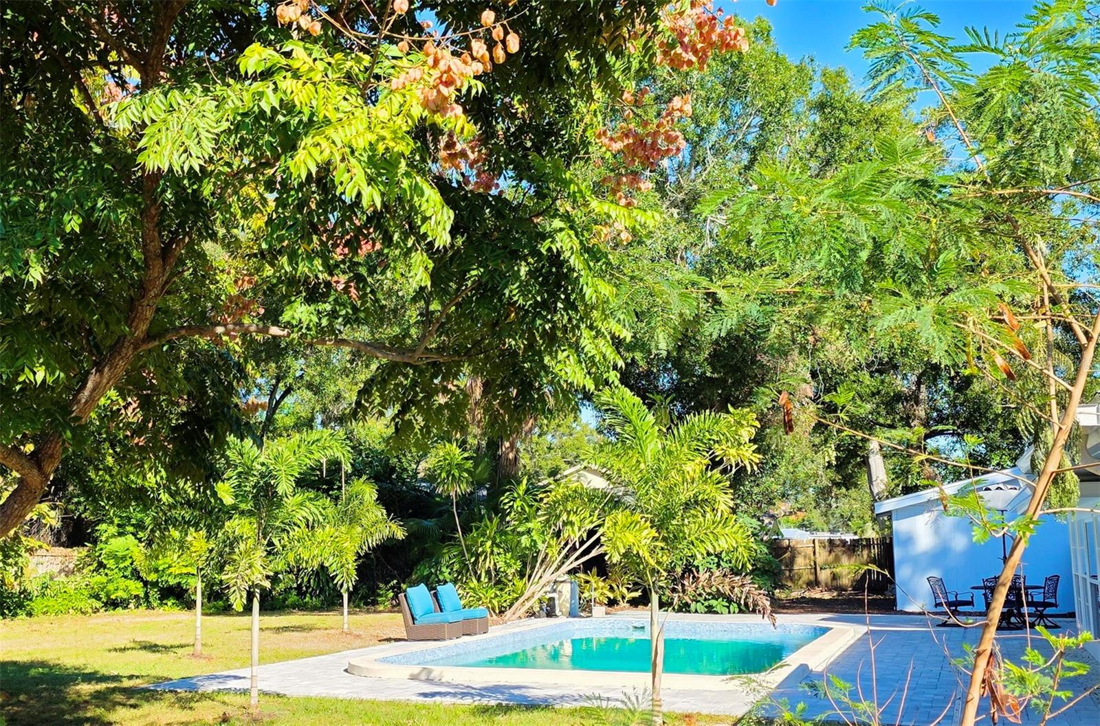 Image 45 of 48 For 3120 Arch Drive