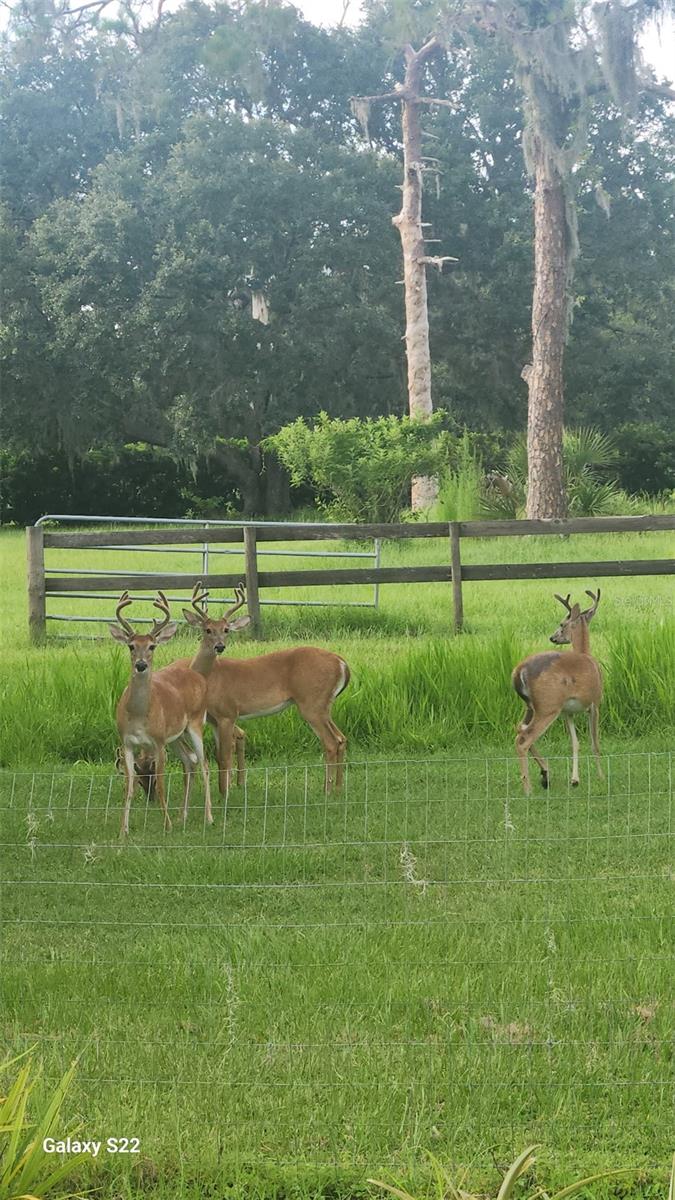Image 66 of 67 For 4708 Hidden River Road
