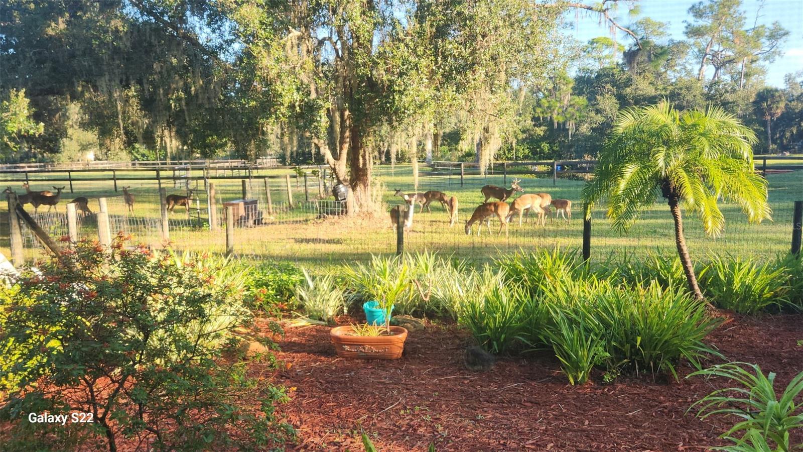 Image 67 of 67 For 4708 Hidden River Road