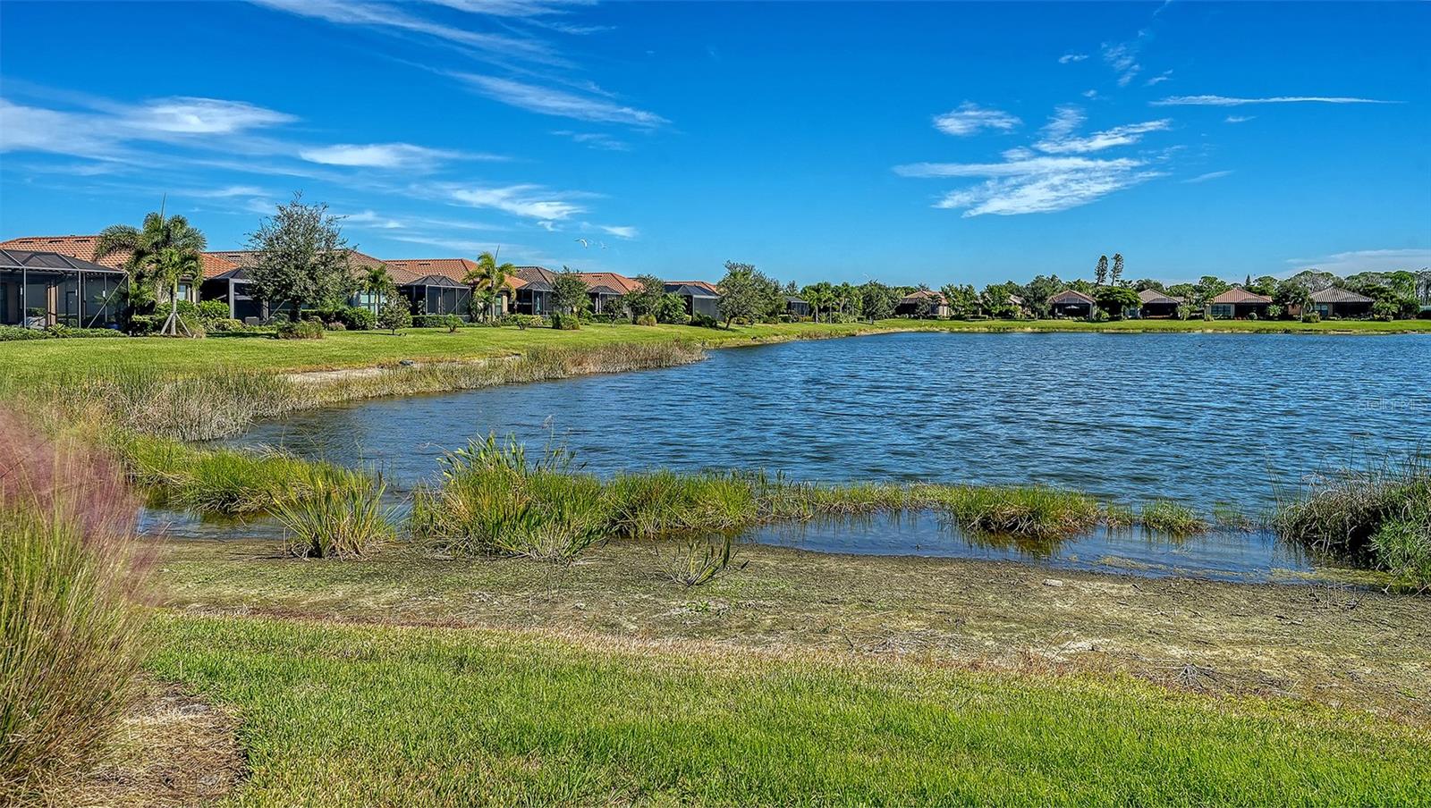 Image 47 of 72 For 5572 Sentiero Drive