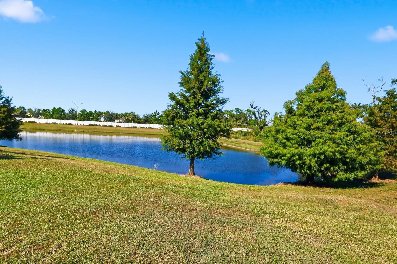 Image 60 of 95 For 16113 Tradewind Terrace