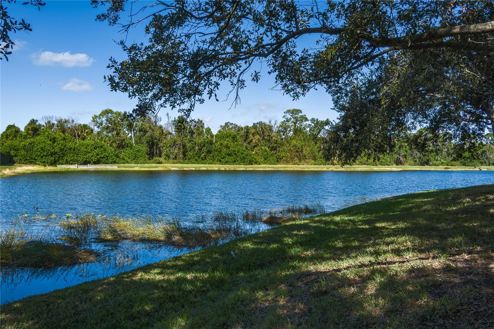 Image 4 of 41 For 4804 78th Street E