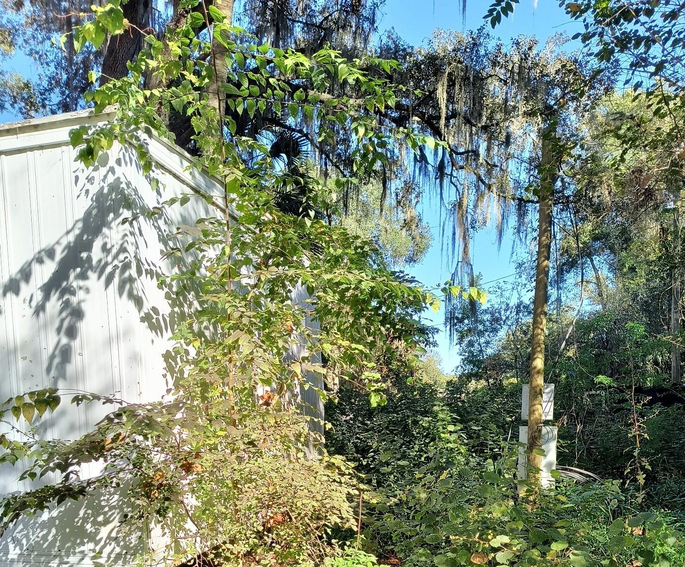 Image 14 of 17 For 3240 167th Street