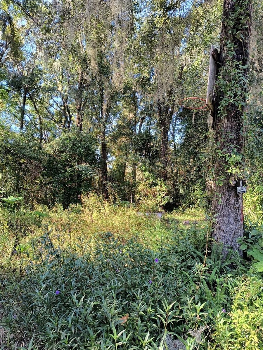 Image 8 of 17 For 3240 167th Street