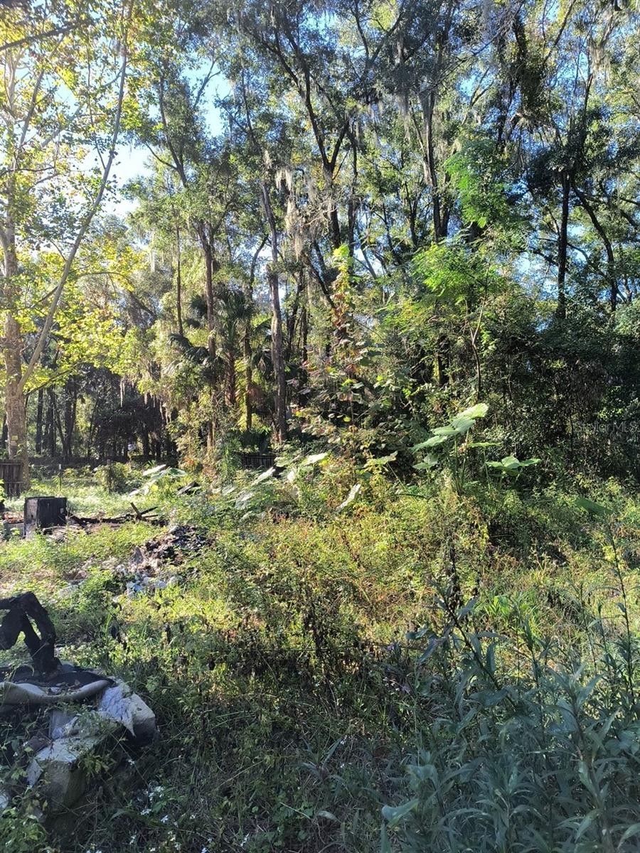 Image 9 of 17 For 3240 167th Street