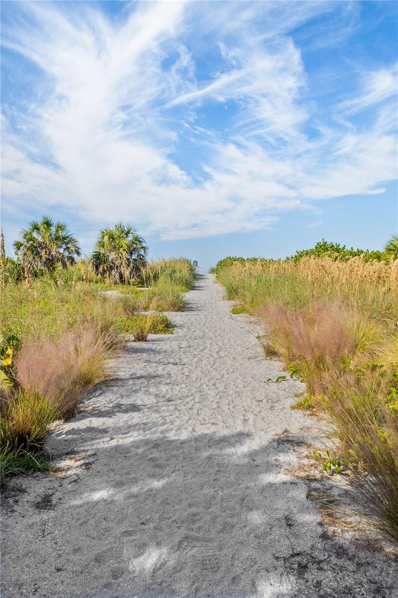 Image 25 of 44 For 8630 Midnight Pass Road 103a