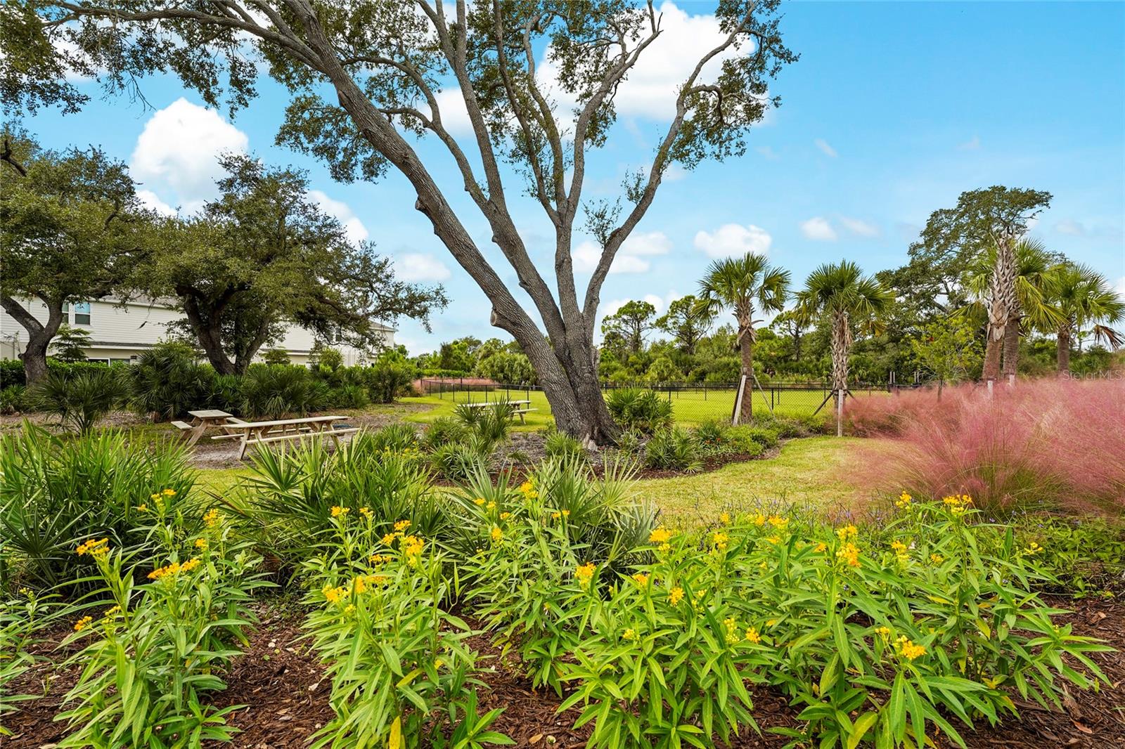 Image 58 of 68 For 5825 Biscotti Street 5825