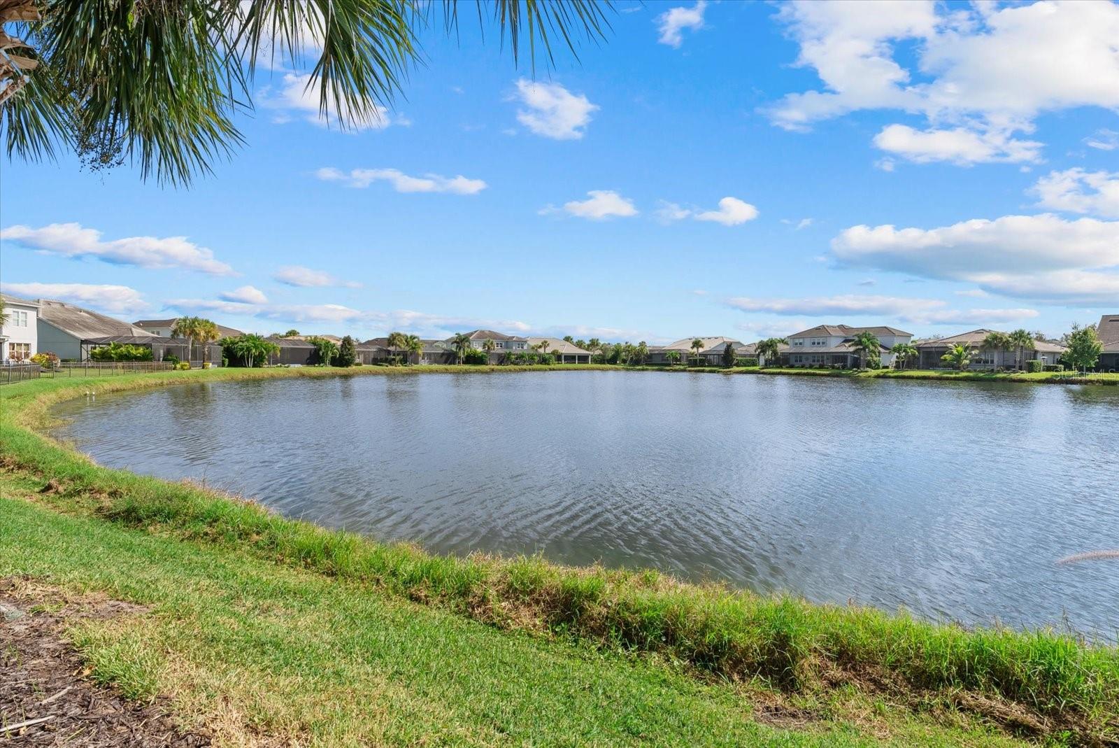 Image 52 of 69 For 3242 Anchor Bay Trail