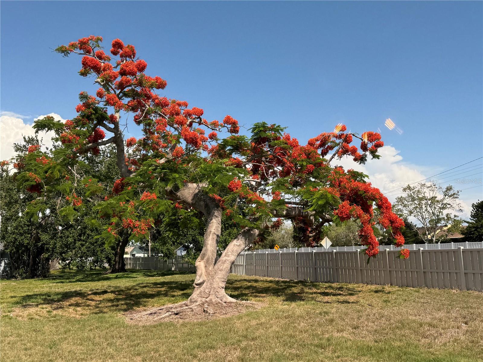 Image 51 of 51 For 3813 42nd Street W 37