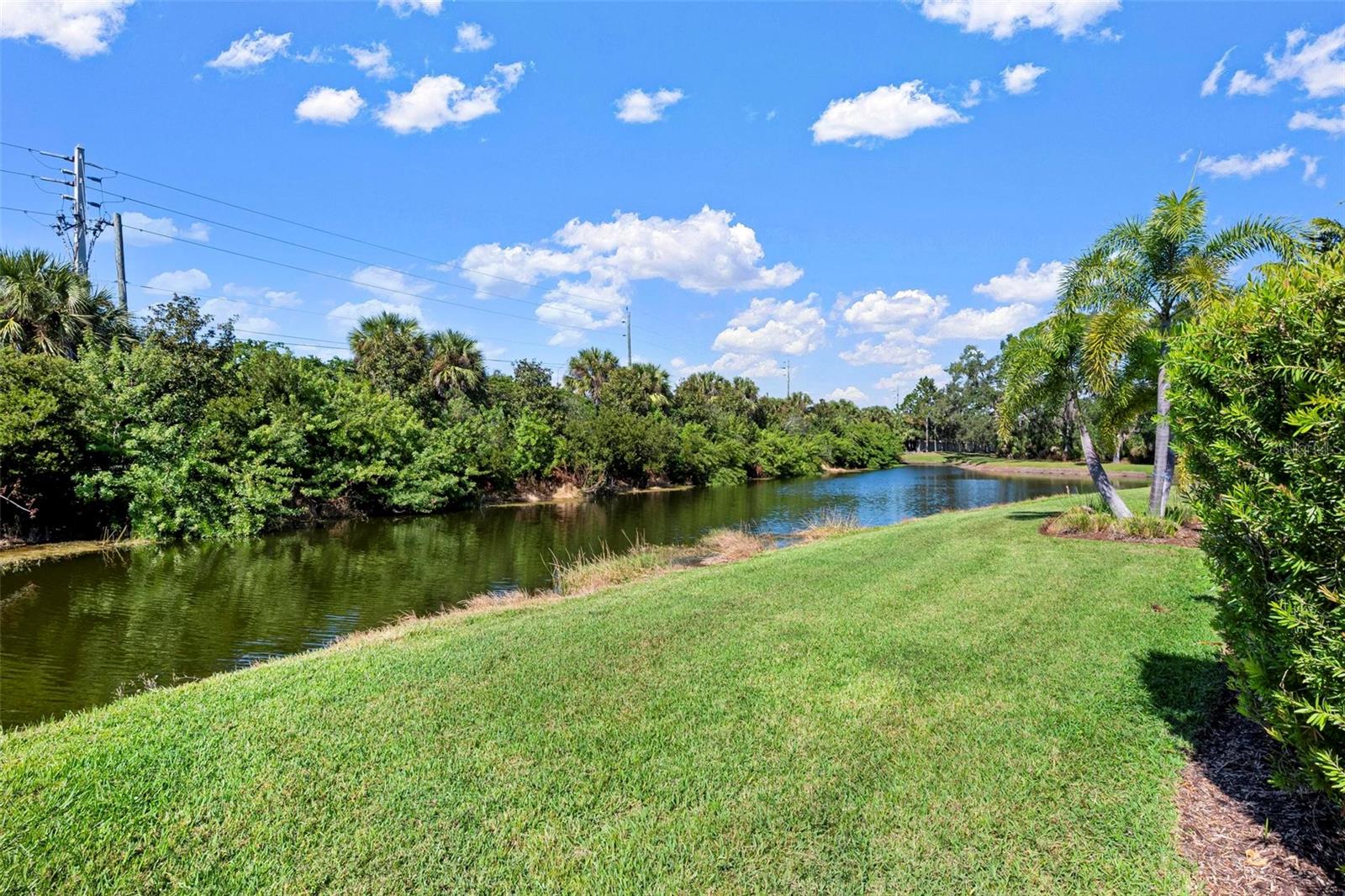 Image 41 of 53 For 6512 Palm Leaf Court