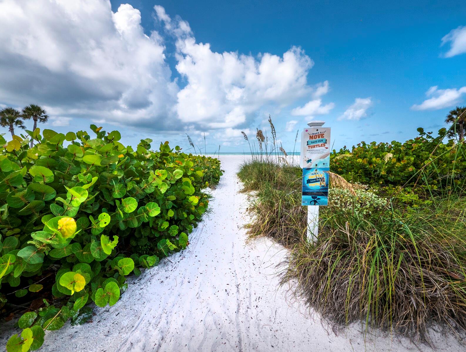 Image 37 of 53 For 7155 Gulf Of Mexico Drive 22