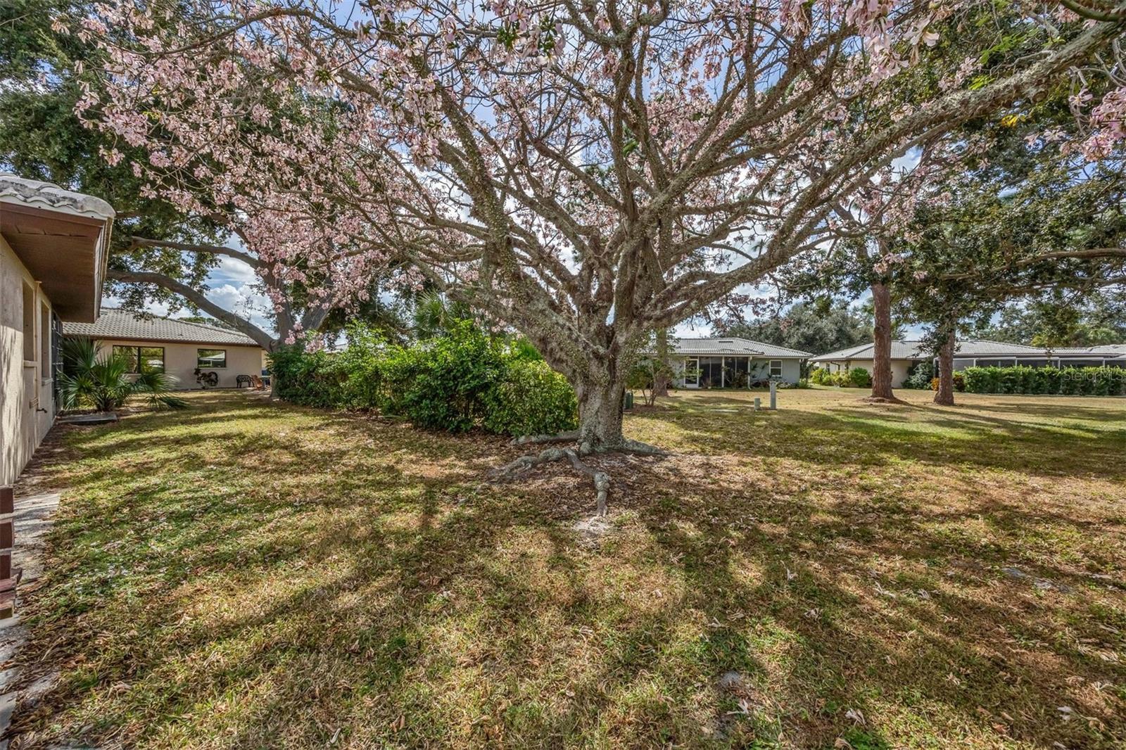 Image 37 of 53 For 650 Chirico Drive