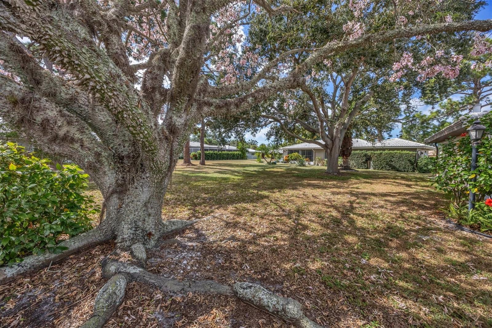 Image 38 of 53 For 650 Chirico Drive