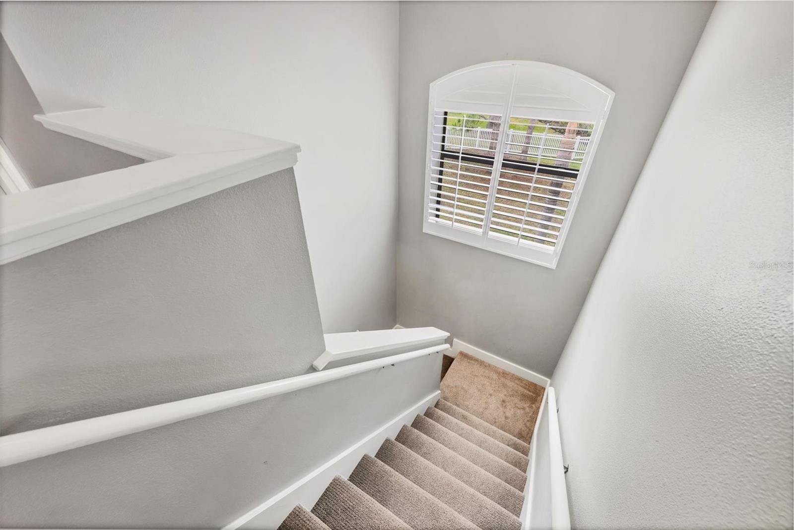 Image 40 of 85 For 6470 Indigo Bunting Place