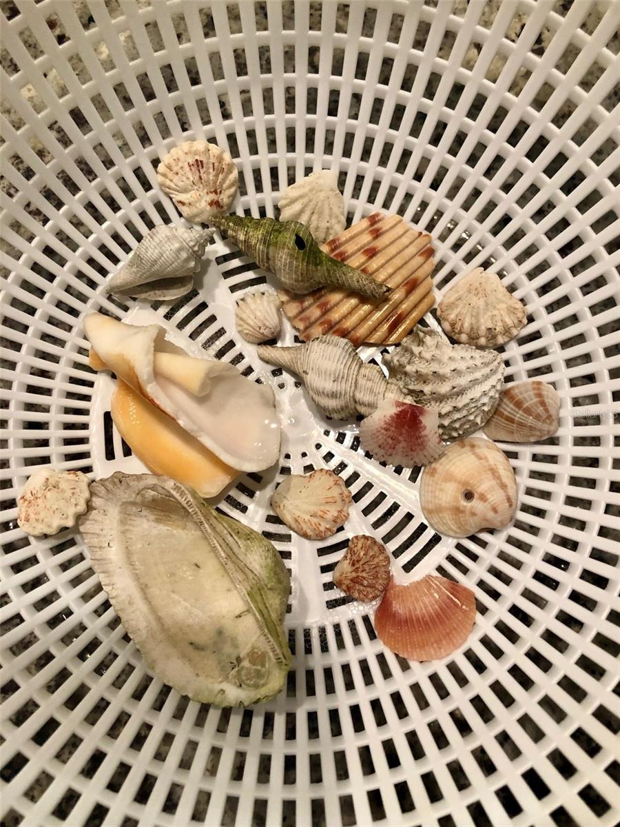 Image 10 of 12 For 540 Neptune Avenue 7